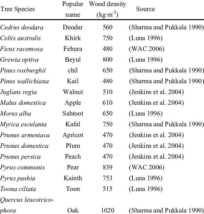 Specific Trees Trees as Portals to 4D | Galactic Anthropology